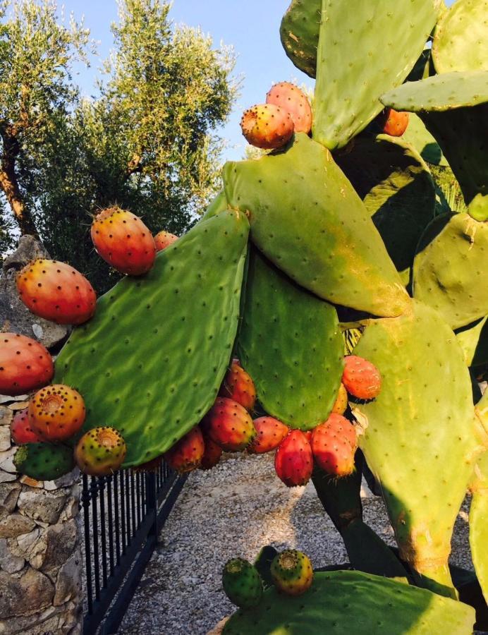 Suite Paraiso Ostuni Exterior foto